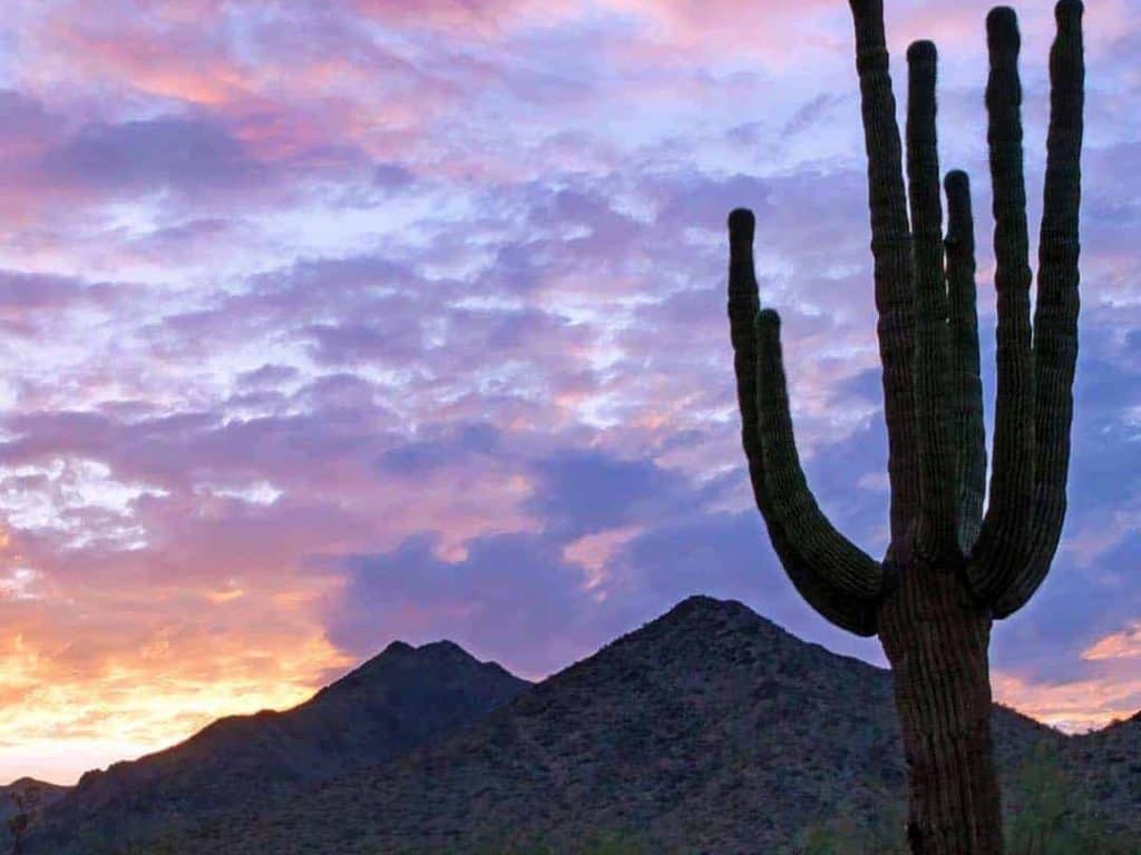 This beautiful start to the day was shot on a summer morning in the McDowell-Sonoran Preserve in Scottsdale, Arizona. Symbolic of the desert southwest, an ancient saguaro cactus stands tall and is silhouetted against a colorful sunrise sky and the McDowell Mountains.
