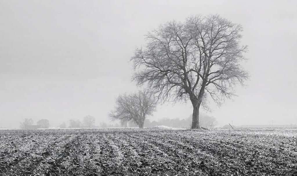 Minimalist image of a rural Illinois farm field on a gray, cloudy winter day.