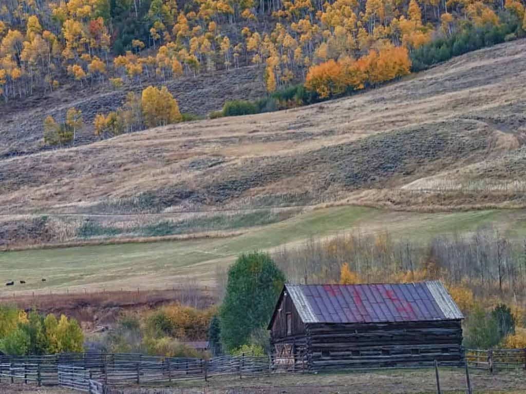 Golden autumn colors fill the hillside above a horse ranch at the base of the Gore Range north of Silverthorne, Colorado along Highway 9.
