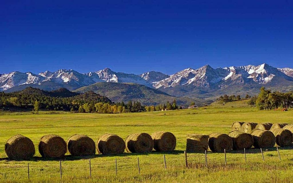 The jagged peaks of the San Juans provide a spectacular backdrop for the autumn harvest of this hayfield along Hwy 62 near the Dallas Divide west of Ridgway, Colorado.