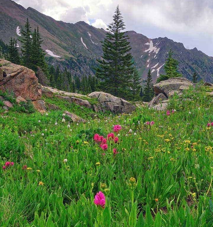 A field of alpine wildflowers along the shore of Pitkin Lake near Vail, Colorado backed by high alpine peaks and a stormy summer sky.