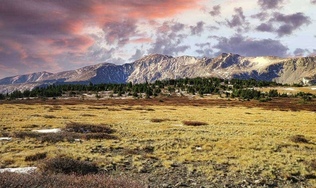 Multi-image panorama of 14,428' Mt. Massive, the second highest peak in Colorado, during a colorful autumn sunrise. Photograph was captured from the trail to Native Lake as it broke through the treeline into the alpine tundra.