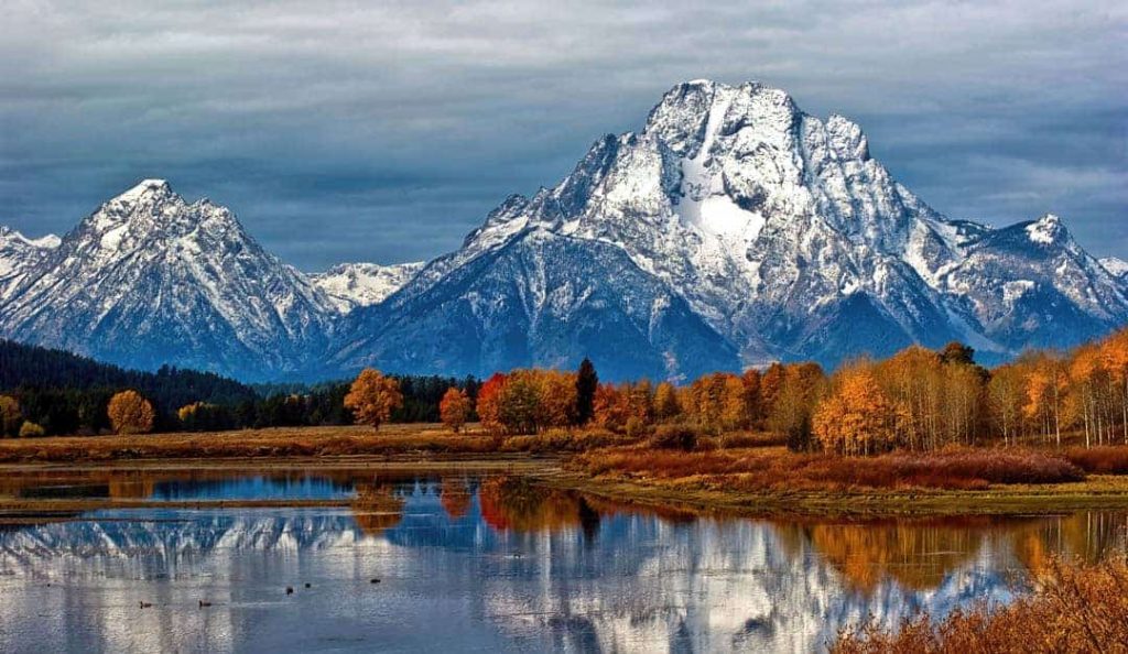 Mt. Moran and the fall colors along the Snake River at Oxbow Bend in Grand Teton National Park, Wyoming on an overcast afternoon.