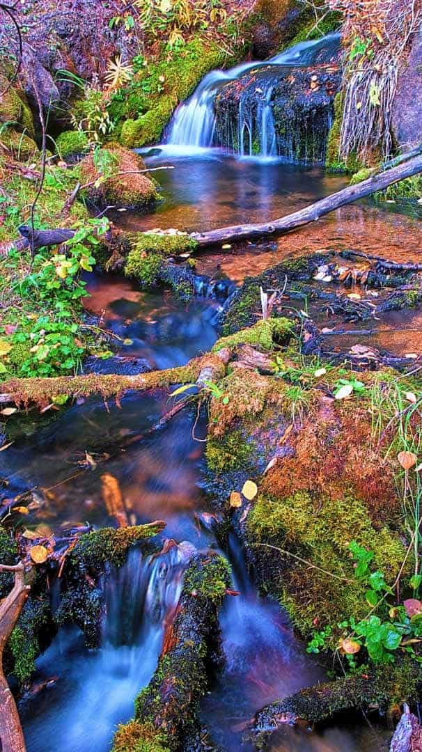 A couple of the many small waterfalls along Ben Tyler Creek near Bailey, Colorado on a cool, autumn morning.