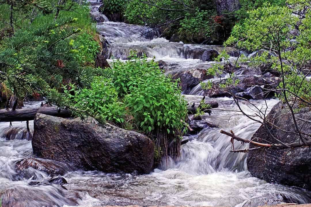 Cascading waterfall near Chicago Lakes in the Mt. Evans Wilderness Area in Colorado.