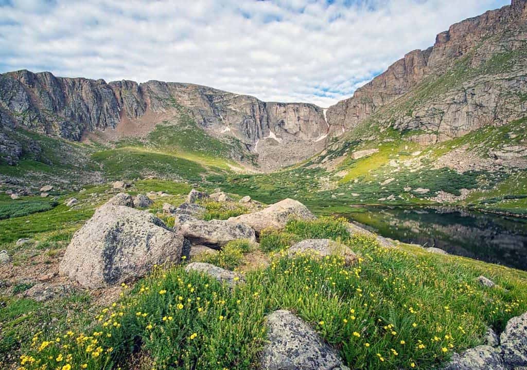 Yellow wildflowers abound in the open tundra surrounding Upper Chicago Lake in the Mt. Evans Wilderness on a mid-summer morning.