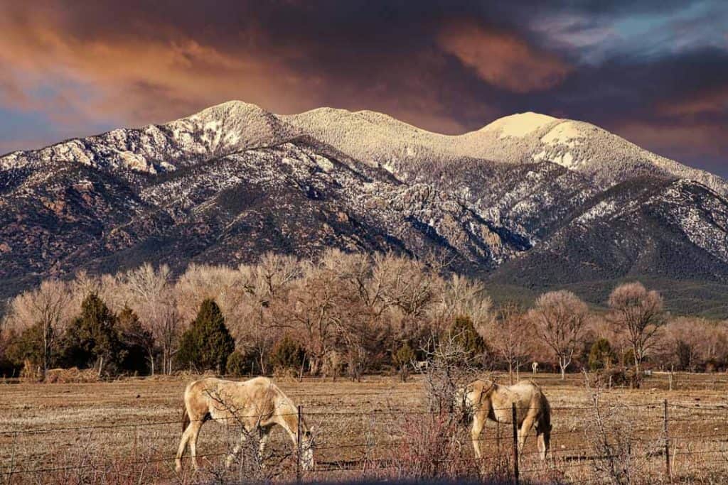 Horses grazing in a field on the Taos Pueblo at the foot of snow-capped 12,305' Pueblo Peak under a colorful winter sunset sky in Taos, New Mexico.