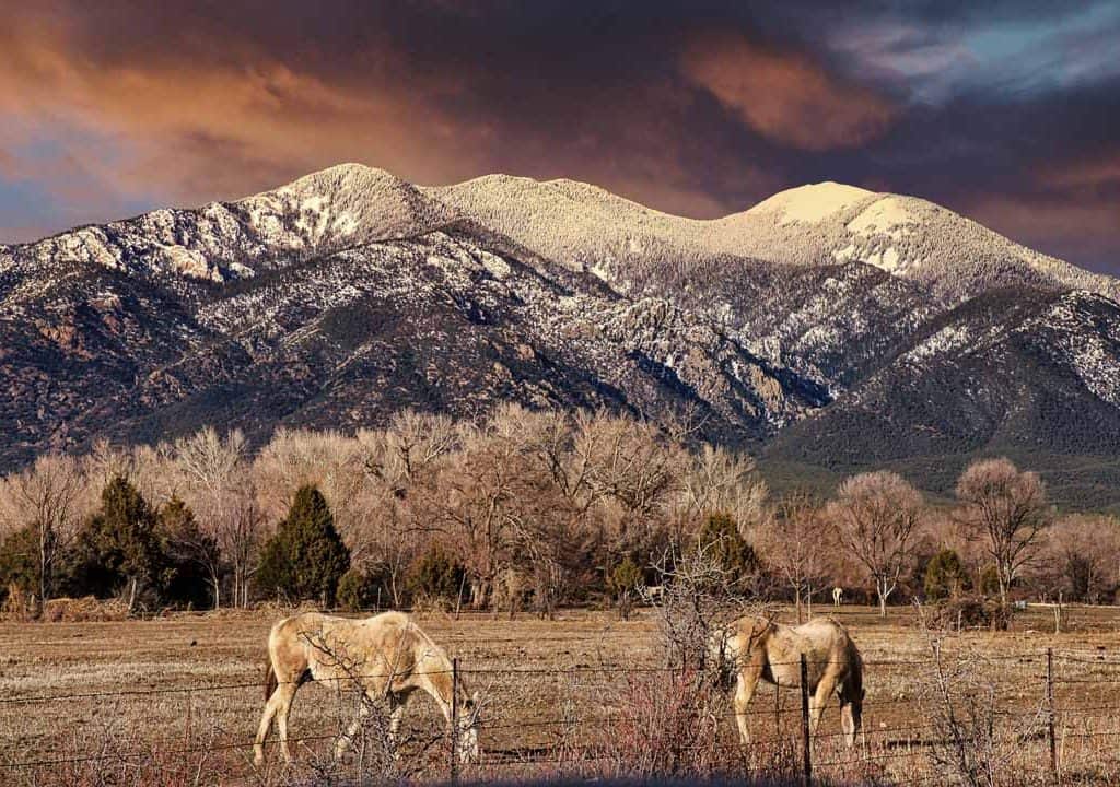 Horses grazing in a field on the Taos Pueblo at the foot of snow-capped 12,305' Pueblo Peak under a colorful winter sunset sky in Taos, New Mexico.