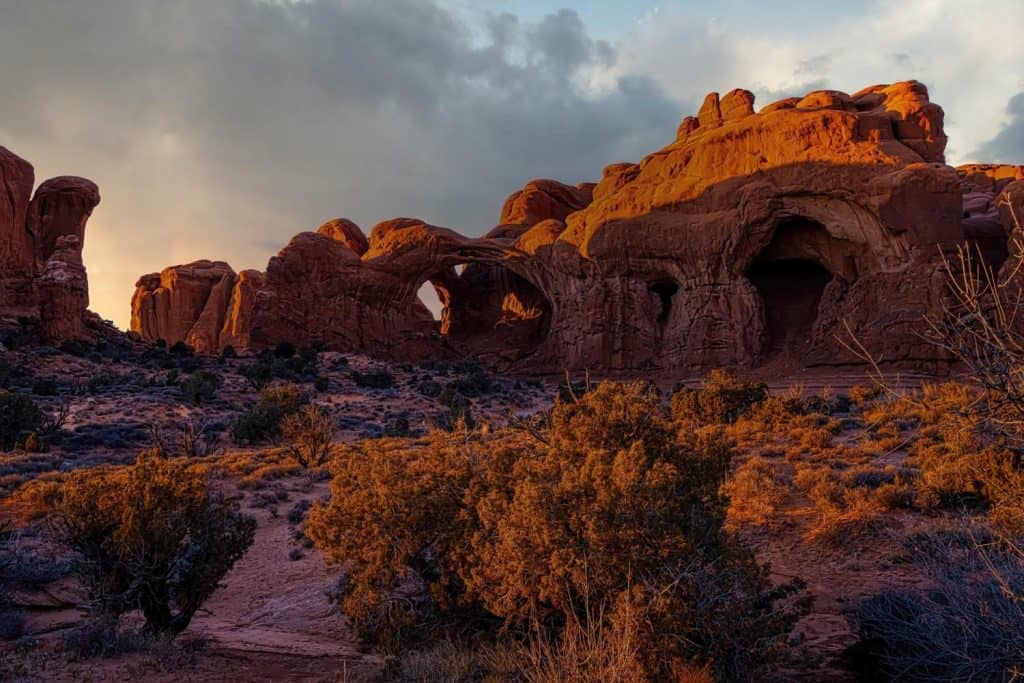 Late afternoon golden light illuminates Double Arch and the surrounding shrubs in Arches National Park, Utah. This distintive pair of close-set arches is located in The Windows section of Arches National Park in Utah. At 112' high and 144' wide the larger of the two arches is the tallest and second longest arch in the park. The smaller arch is 67' wide.