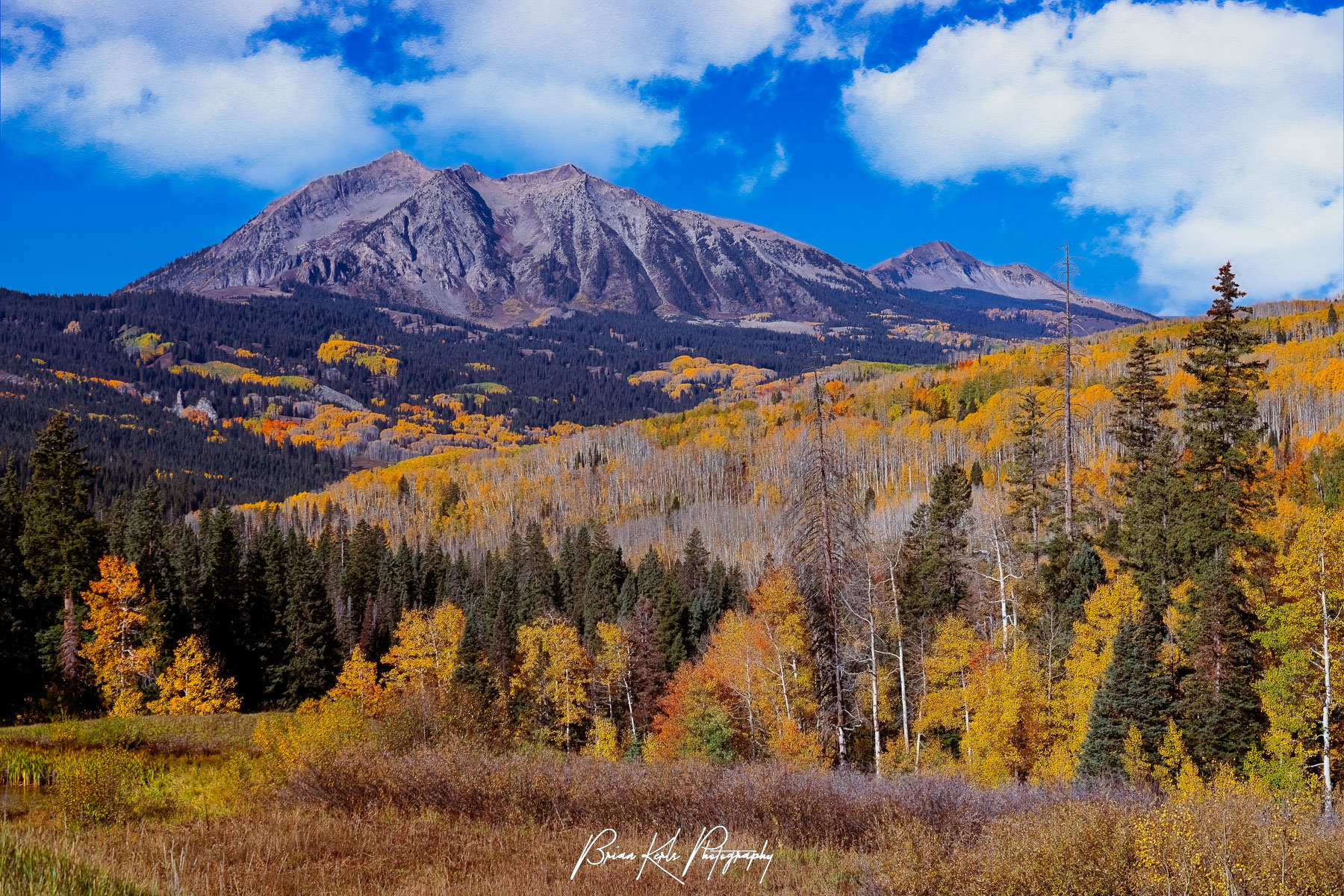 While some of the aspens have already dropped their leaves, a multitude of vibrant colors still blanket the forested hillsides along Kebler Pass beneath the rugged peaks of East Beckwith Mountain near Crested Butte, Colorado.