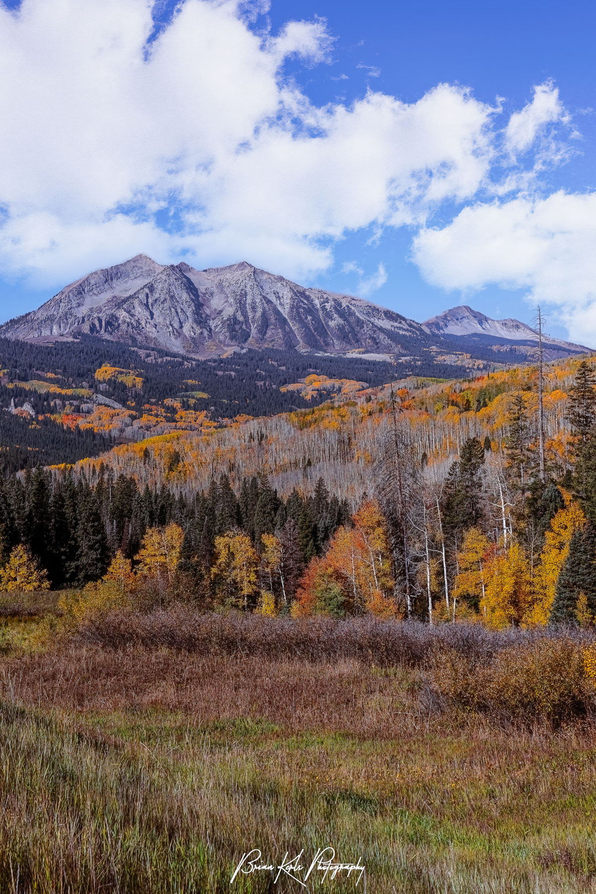 While some of the aspens have already dropped their leaves, a multitude of vibrant colors still blanket the forested hillsides along Kebler Pass beneath the rugged peaks of East Beckwith Mountain near Crested Butte, Colorado.