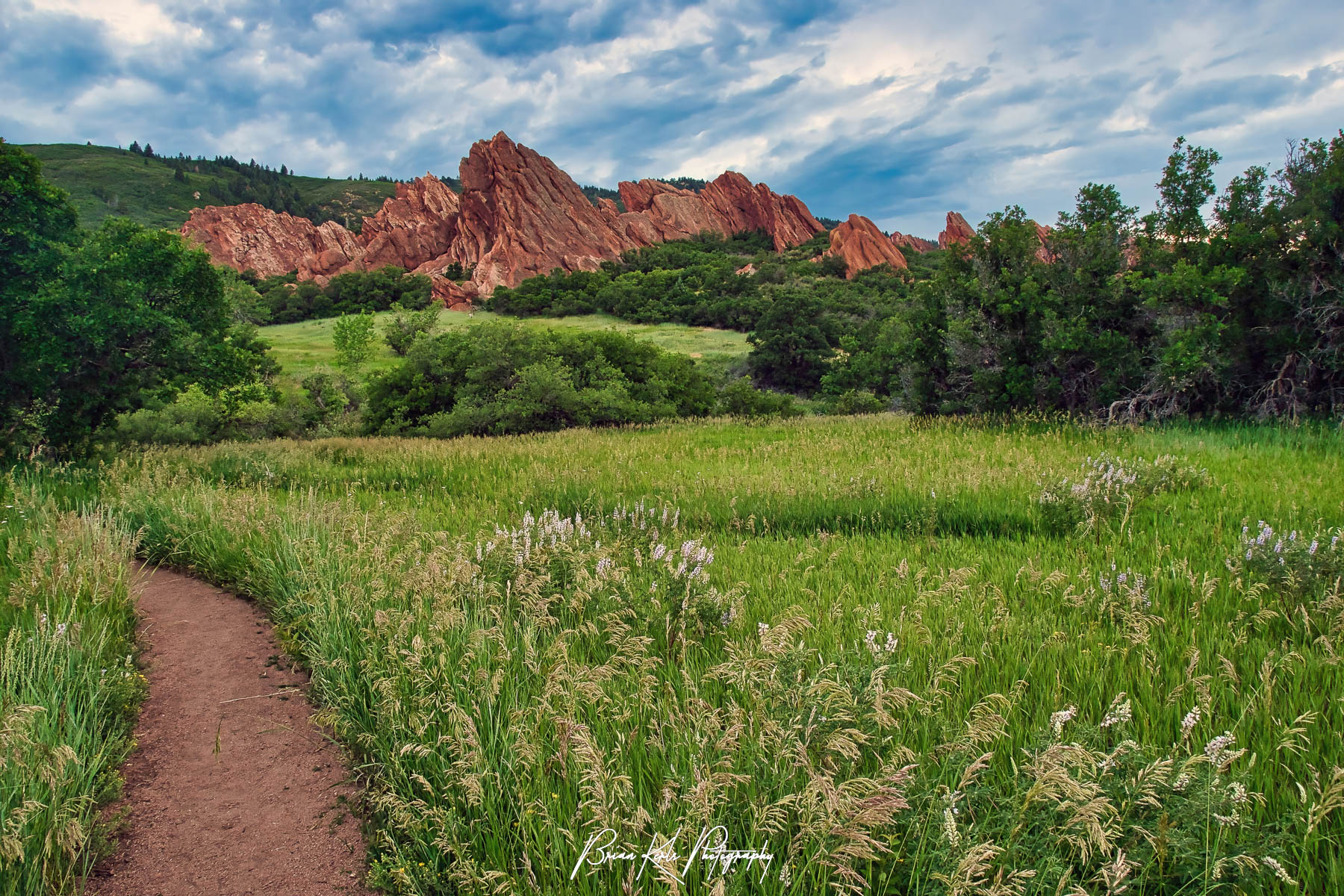 Beautiful green grass and wildflowers line a hiking trail as it winds through the ancient red sandstone fountain formations in Roxborough State Park, Colorado.