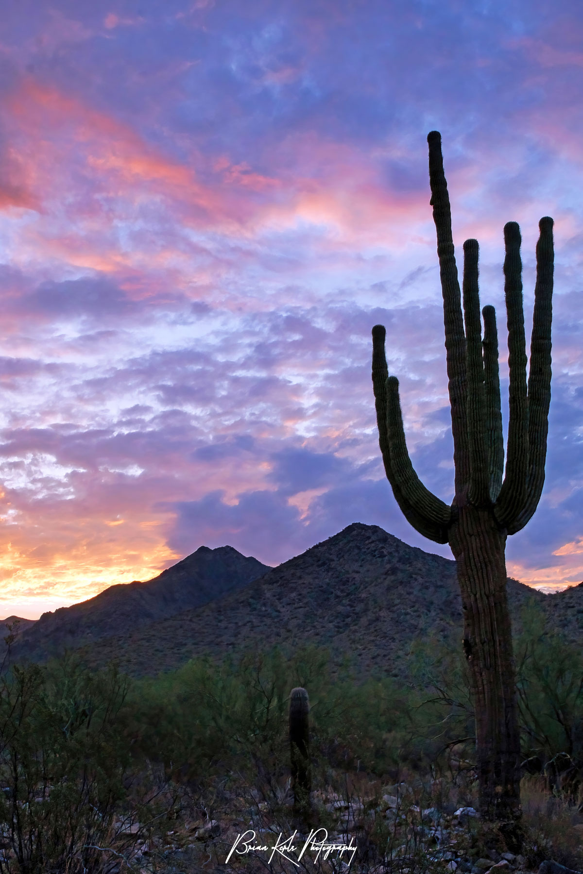 This beautiful start to the day was shot on a summer morning in the McDowell-Sonoran Preserve in Scottsdale, Arizona. Symbolic of the desert southwest, an ancient saguaro cactus stands tall and is silhouetted against a colorful sunrise sky and the McDowell Mountains.