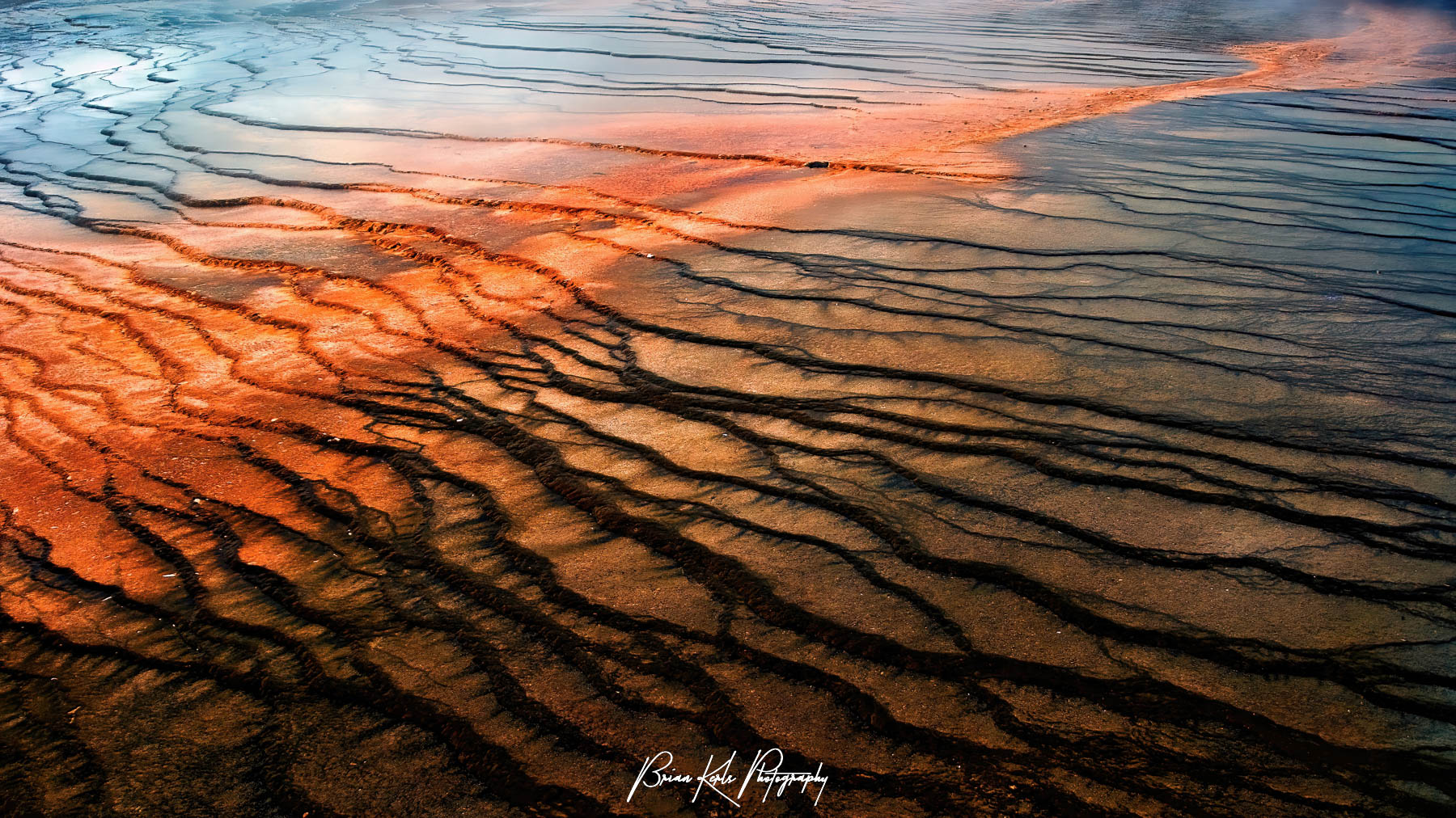 Steam rising from the hot spring on a chilly, overcast autumn afternoon obscured my view of the Grand Prismatic Spring in Yellowstone National Park, Wyoming. Instead, I focused on the terraced, volcanic rock surrounding the spring, which is streaked with dramatic colors from the various species of bacteria that grow around the edges of the mineral-rich water.