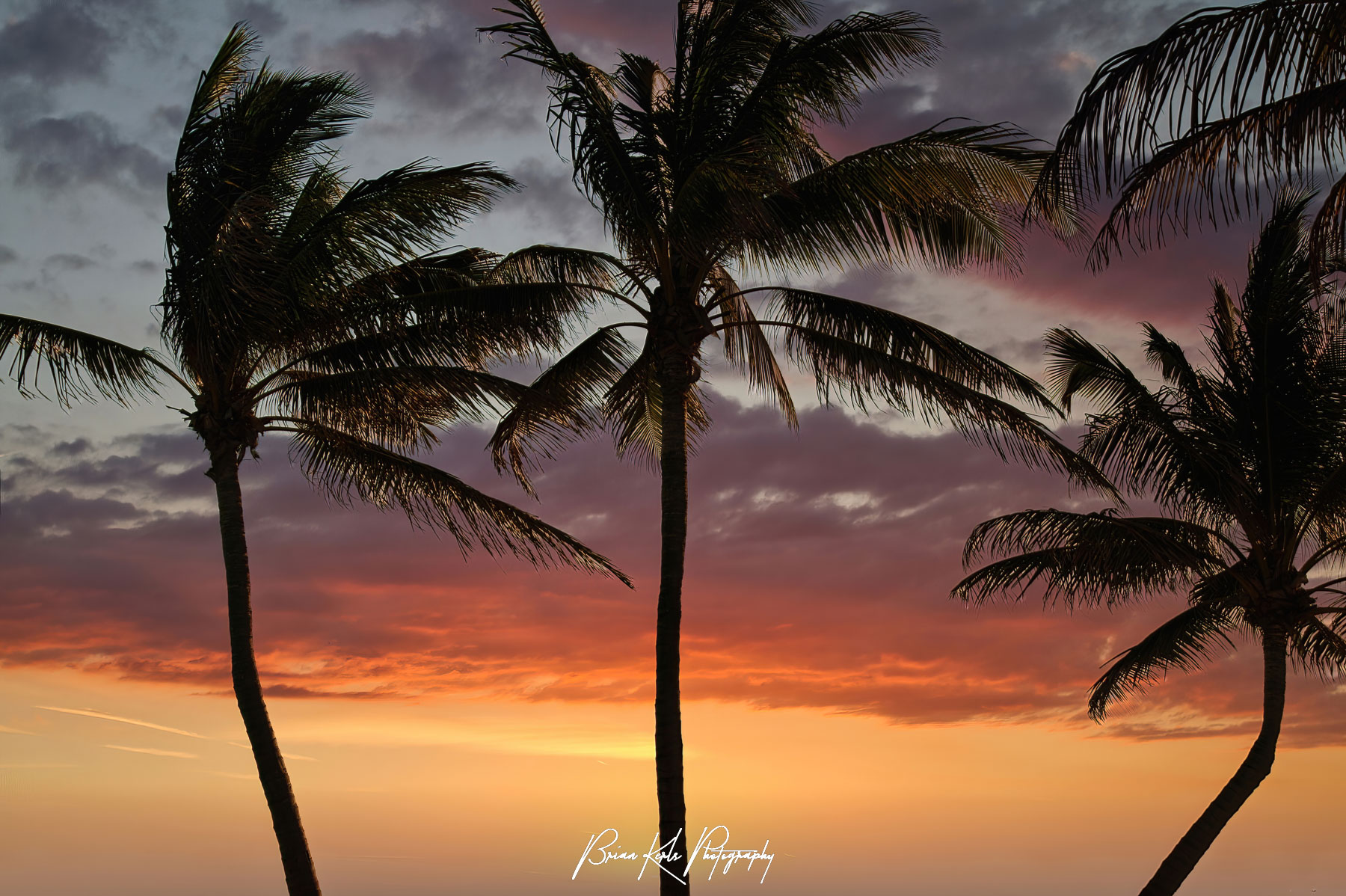 This relaxing and serene image of swaying palm trees and an amazing sunset sky perfectly sums up the island life in Key West, Florida.