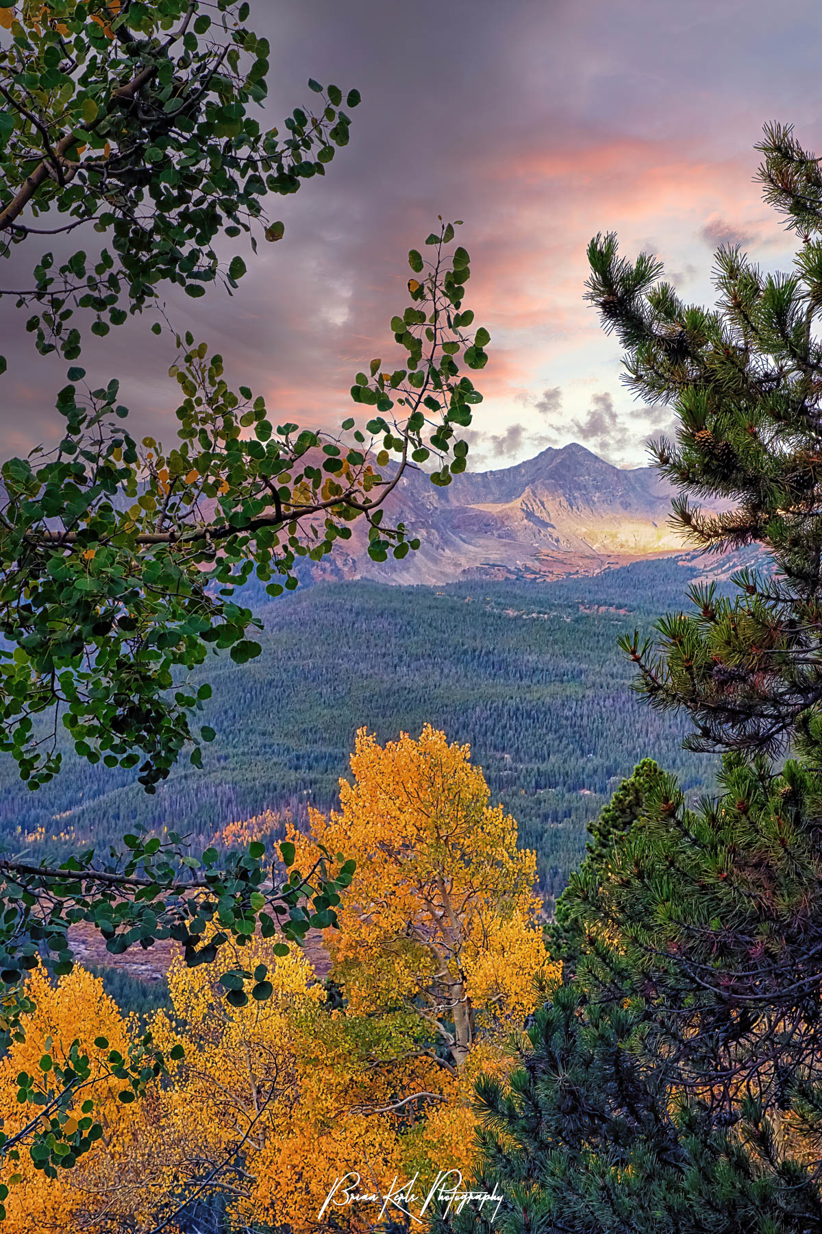 Early morning light on the peaks of the Ten Mile Range framed by colorful aspens and evergreens along Boreas Pass Road near Breckenridge, Colorado.