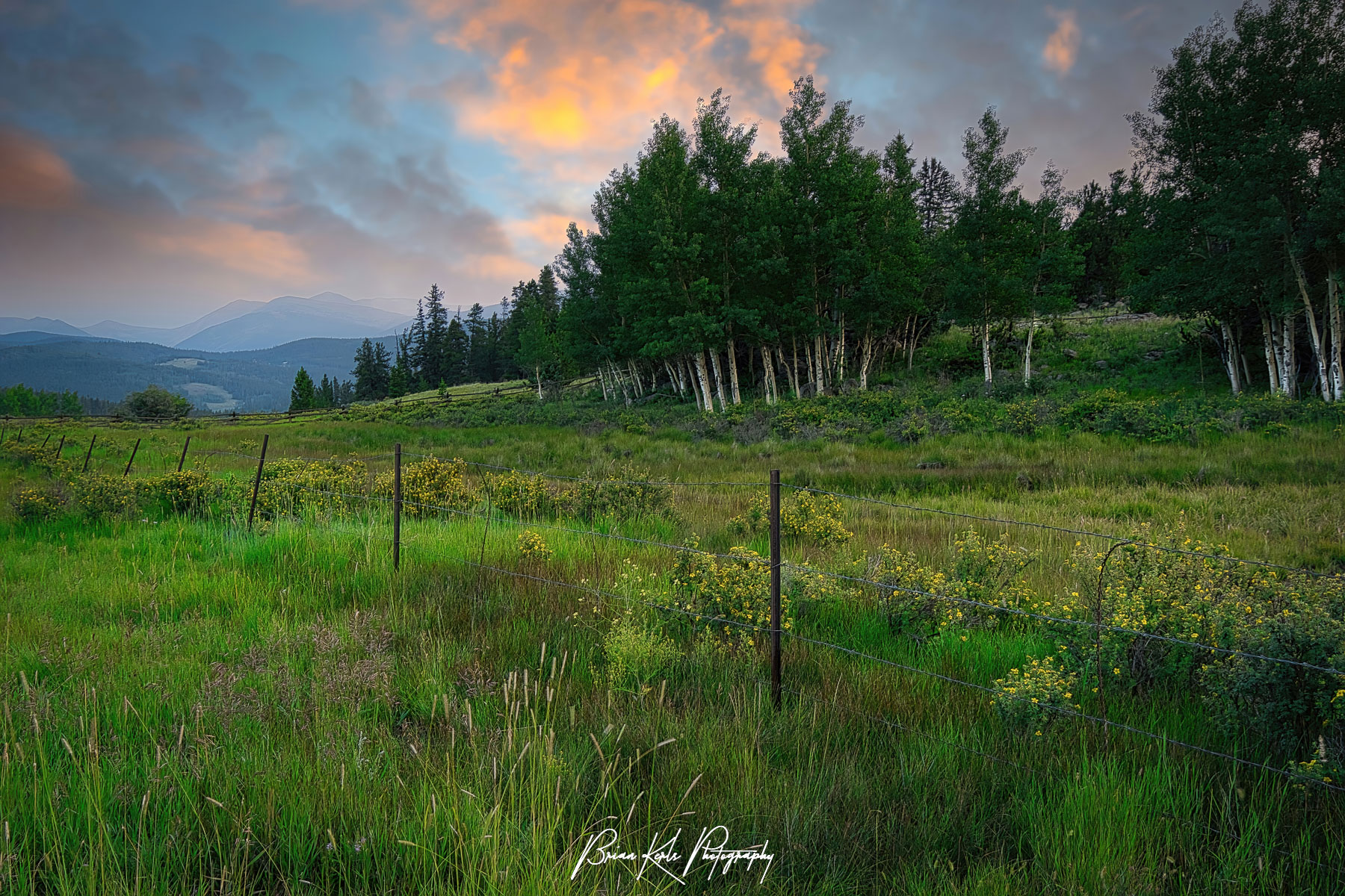 A beautiful sunrise sky breaks over a serene alpine meadow in the Colorado Rocky Mountains with the towering peaks of the Continental Divide in the distance.