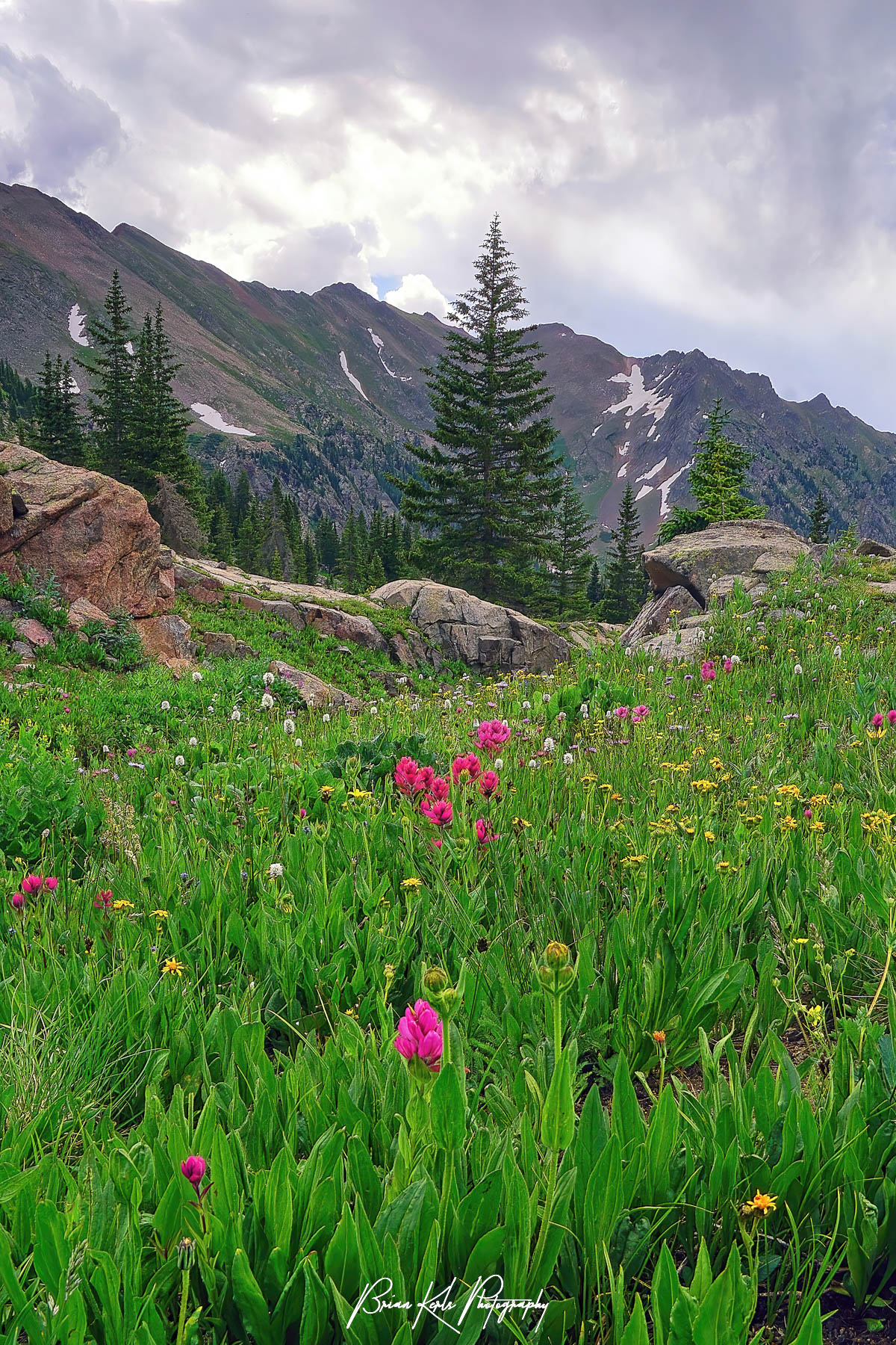 A field of alpine wildflowers along the shore of Pitkin Lake near Vail, Colorado backed by high alpine peaks and a stormy summer sky.