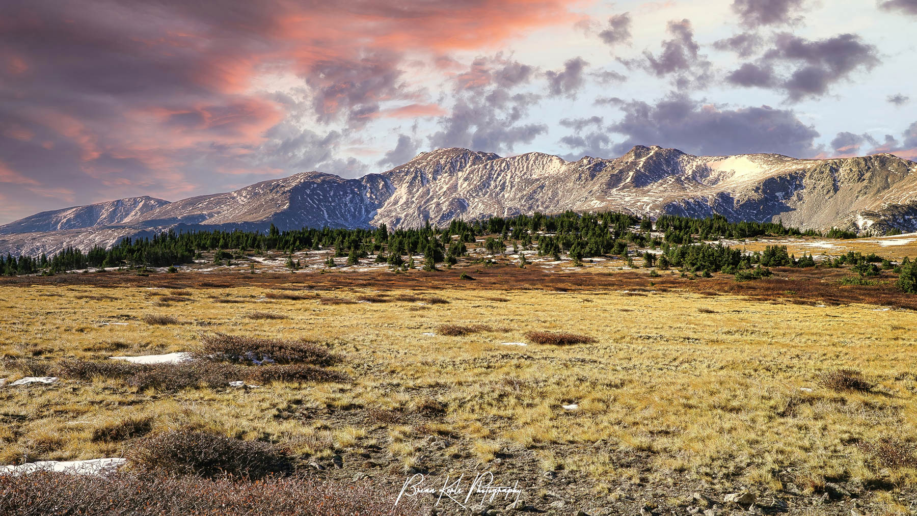 Multi-image panorama of 14,428' Mt. Massive, the second highest peak in Colorado, during a colorful autumn sunrise. Photograph was captured from the trail to Native Lake as it broke through the treeline into the alpine tundra.