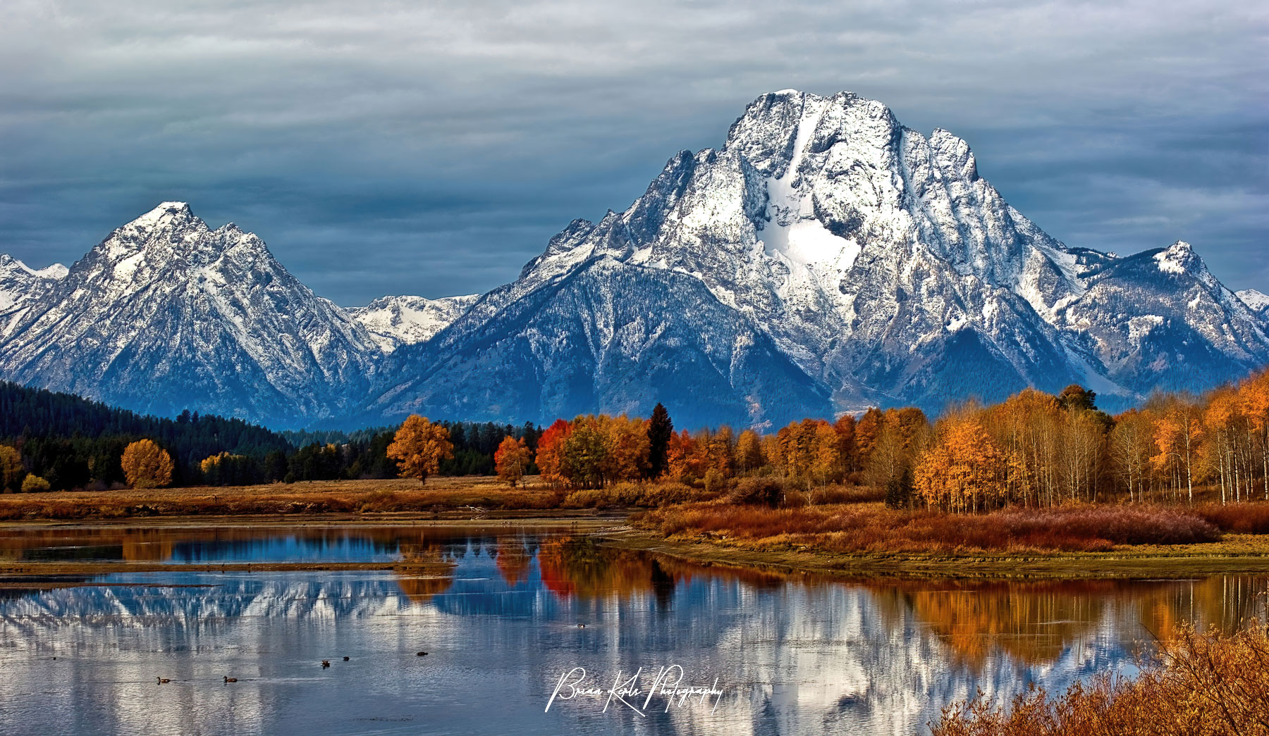 Mt. Moran and the fall colors along the Snake River at Oxbow Bend in Grand Teton National Park, Wyoming on an overcast afternoon.