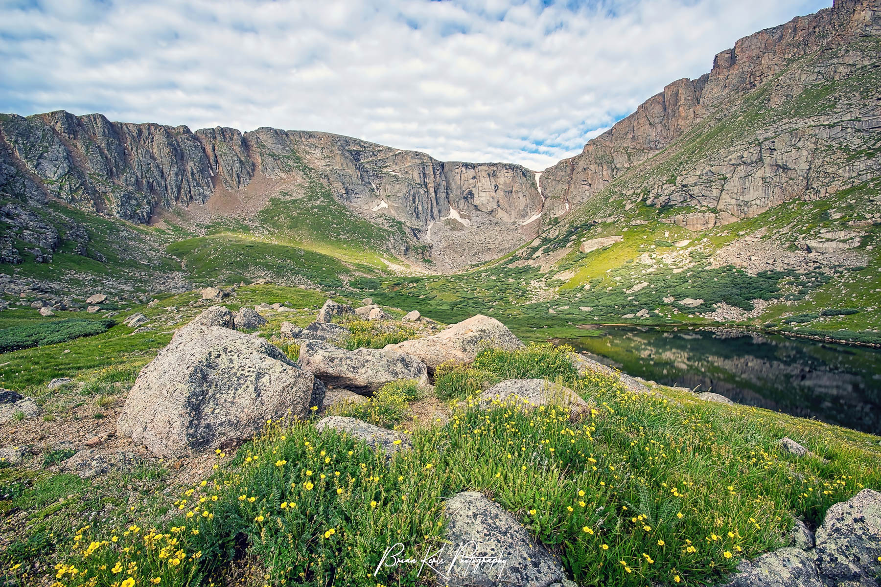 Yellow wildflowers abound in the open tundra surrounding Upper Chicago Lake in the Mt. Evans Wilderness on a mid-summer morning.