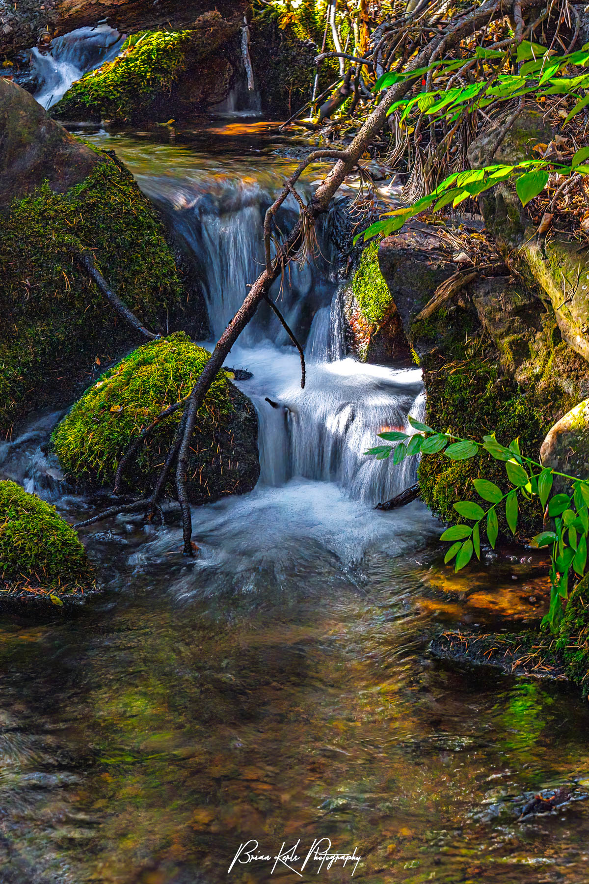 Tucked away in the forest the small Ben Tyler Creek runs over and around mossy green rocks and fallen logs as it flows down the mountainside in the Lost Creek Wilderness of Colorado. While small in stature this little cascade made for a scenic composition on an early autumn morning hike along the Ben Tyler Trail.