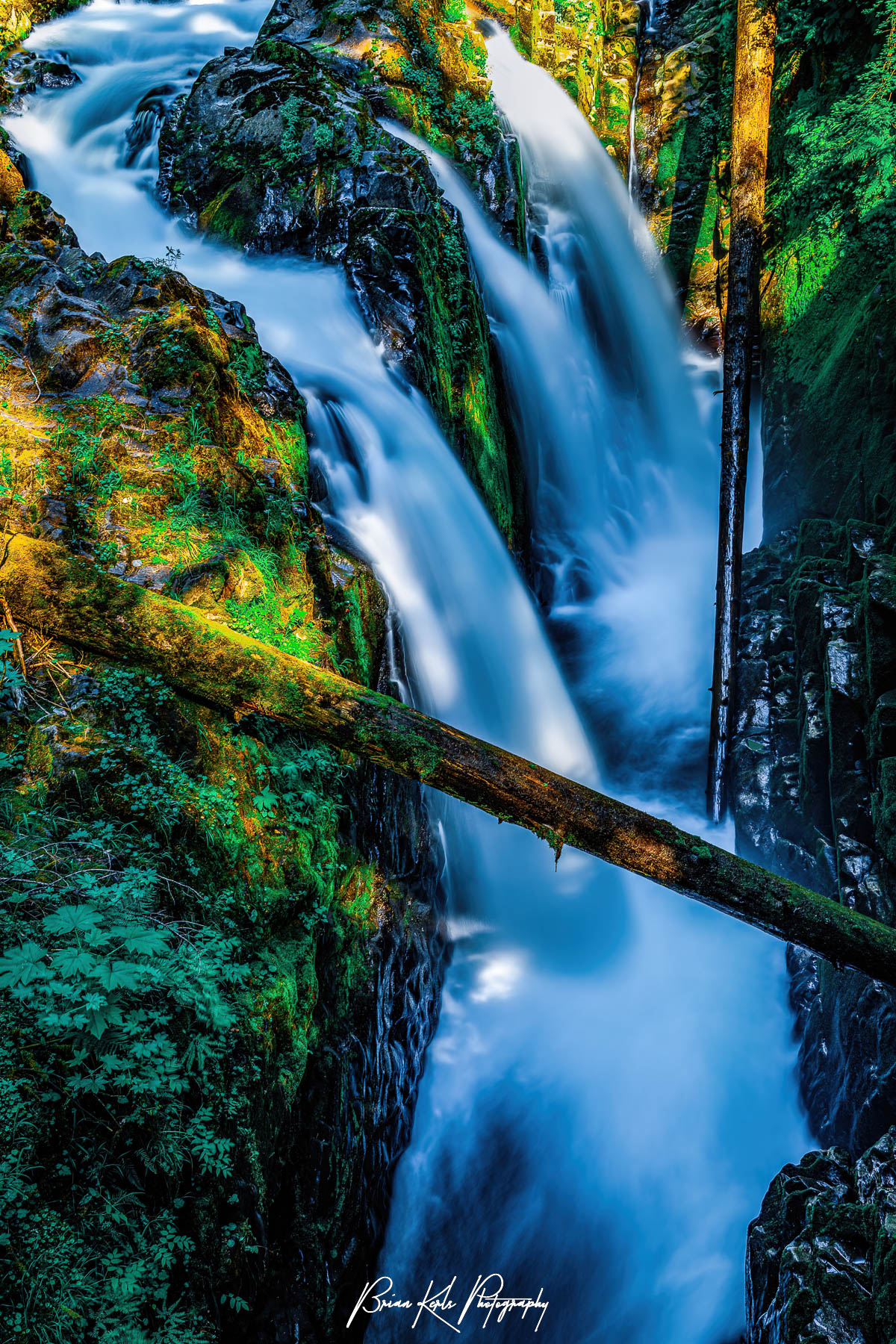 In a landscape filled with many waterfalls and cascades, Sol Duc Falls in Olympic National Park, Washington is one of the more unique and strikingly beautiful falls. Flowing through the thick temperate rainforest of the Olympic Mountains the Sol Duc River splits into three branches before hurtling almost 50' off the side of a cliff and thundering down into the narrow moss-covered canyon below. This closely framed vertical image of the falls emphasizes the power and force of the water crashing over the edge to the mossy rocks below.