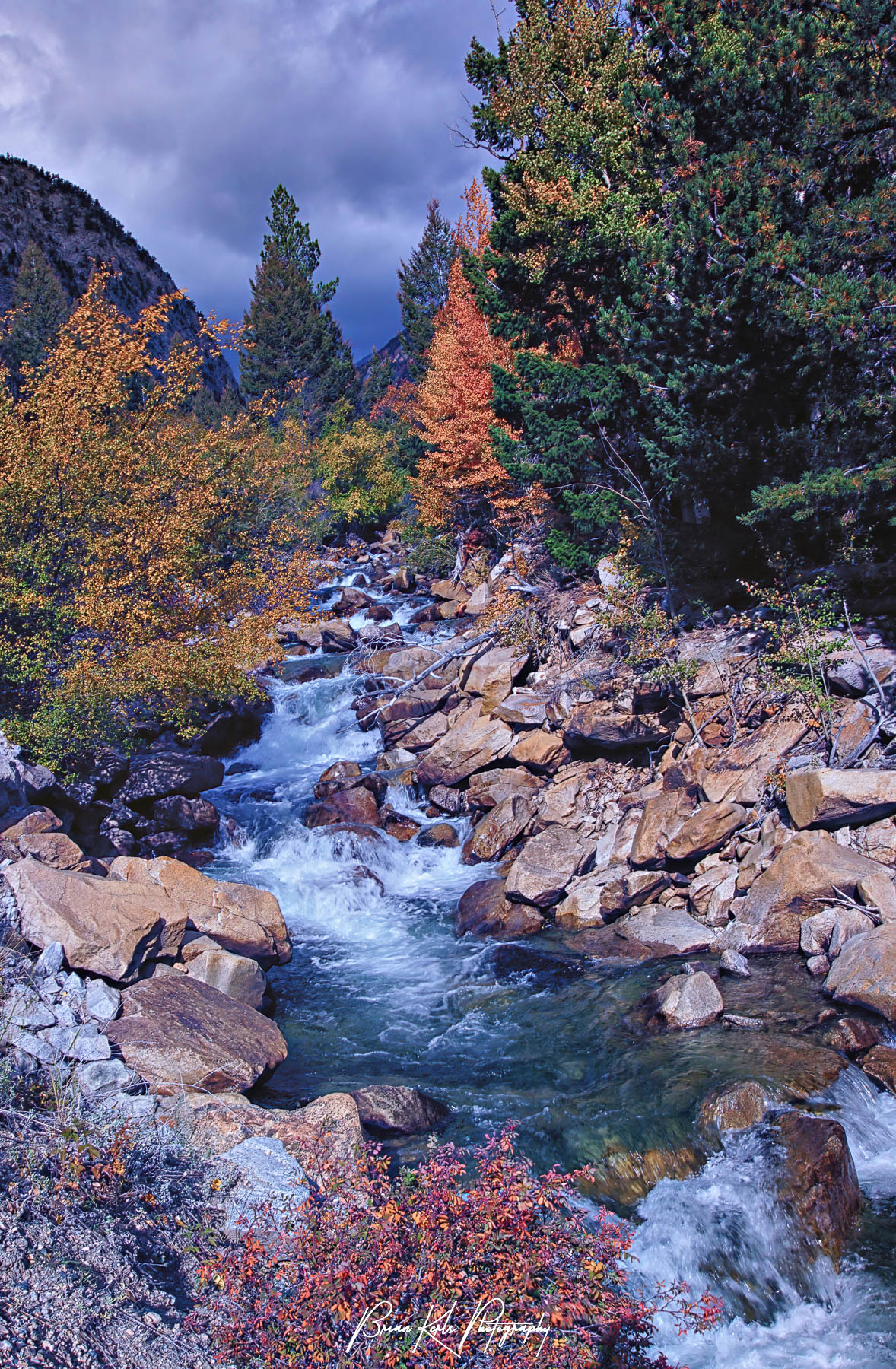 Stormy skies contrast with the bright colors of autumn along the banks of Chalk Creek near the ghost town of St. Elmo, Colorado.