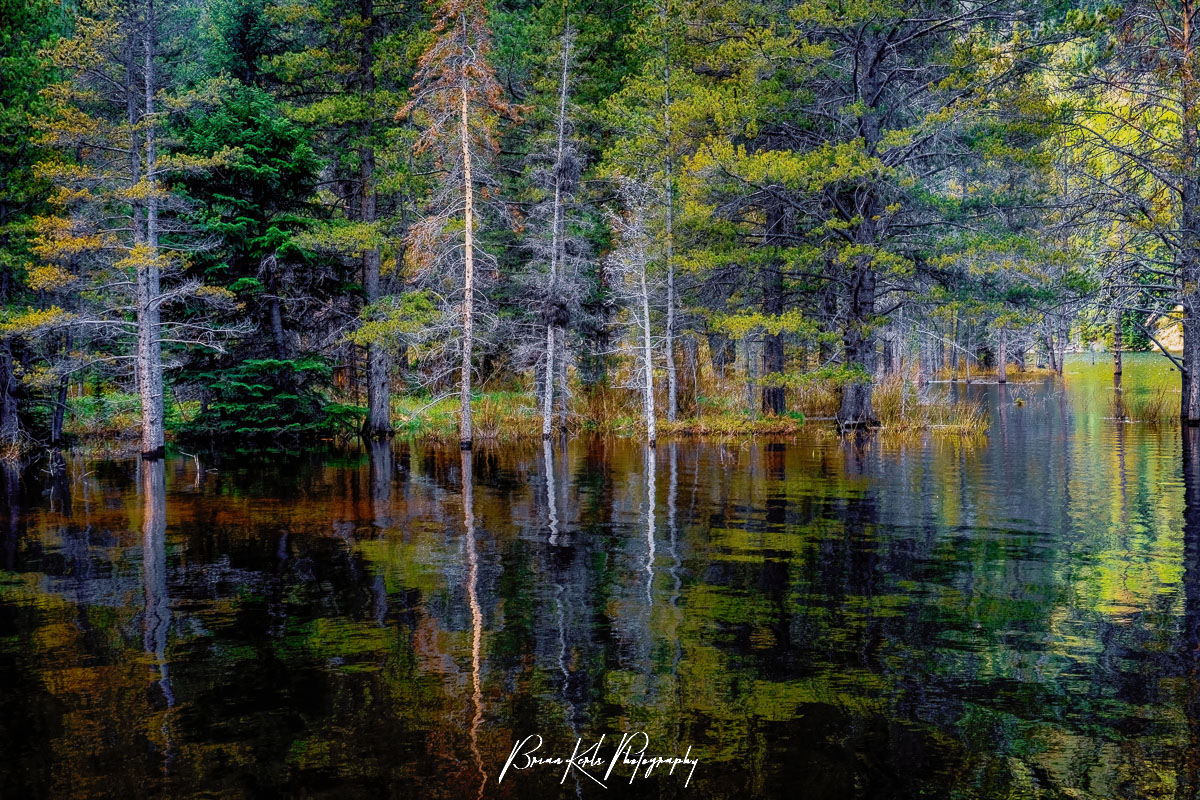 Swollen from snow melt and spring rains, Officer's Gulch Pond in Summit County, Colorado overflows into the surrounding shadowy forest. The rippled reflections in the water mirror the quiet strength of the dense pines along the shore and the late morning light adds a rich sense of mystery and moodiness.