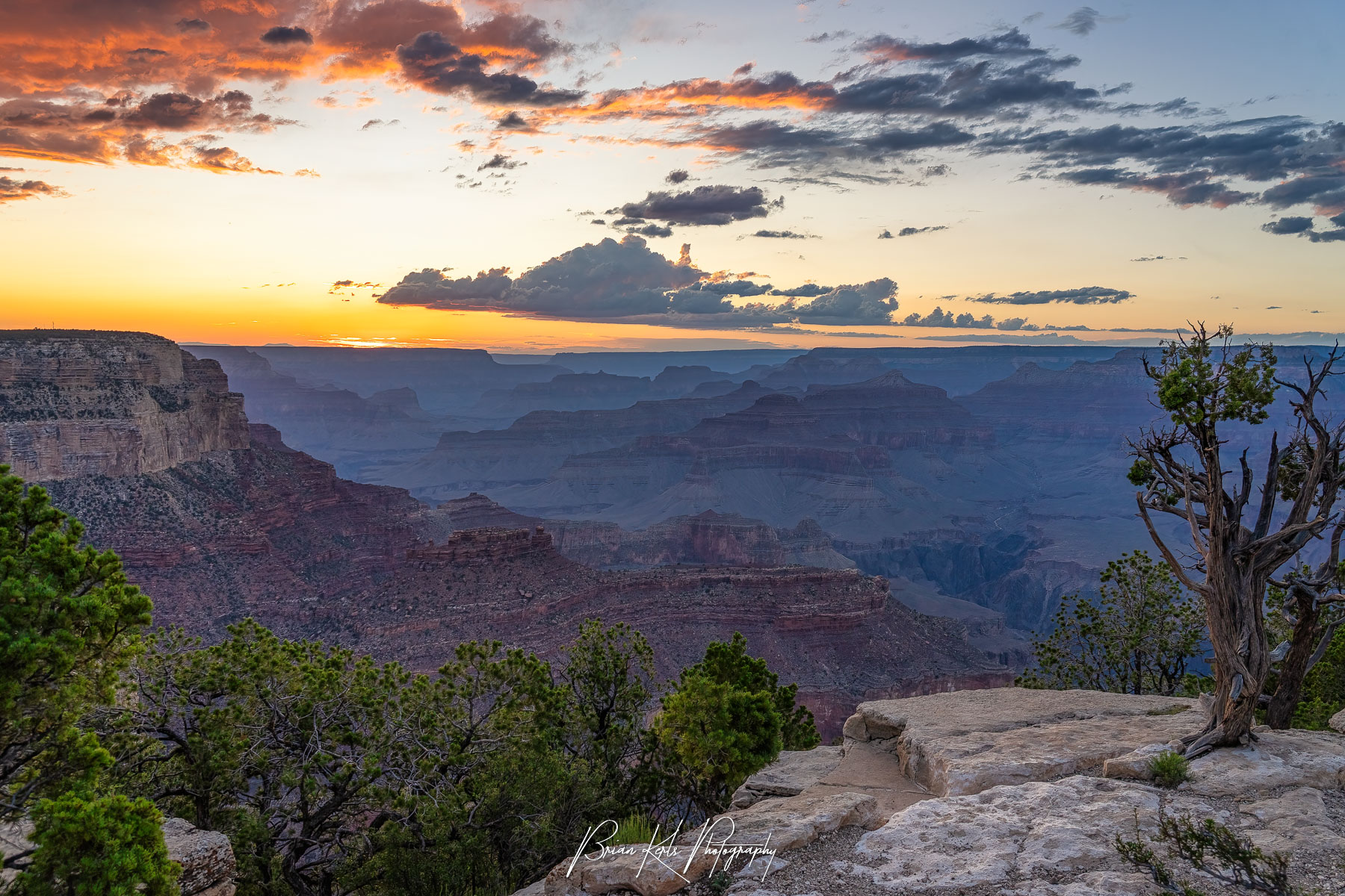 Sunset view of the Grand Canyon with layered rock formations, deep canyons, and a sky painted in orange, yellow, and blue hues; foreground includes rocky terrain and green desert vegetation.