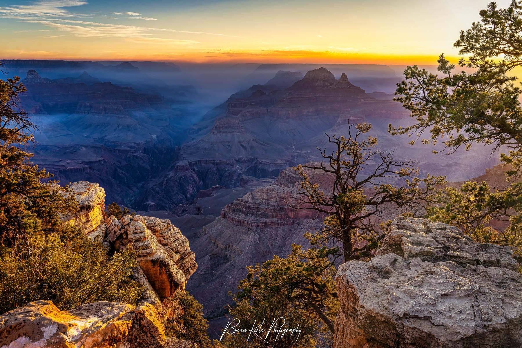 Grand Canyon at sunrise with golden light illuminating the horizon, layered rock formations in red, orange, and purple tones, and soft blue shadows in the canyon; foreground includes rugged rocks, twisted trees, and sparse vegetation.