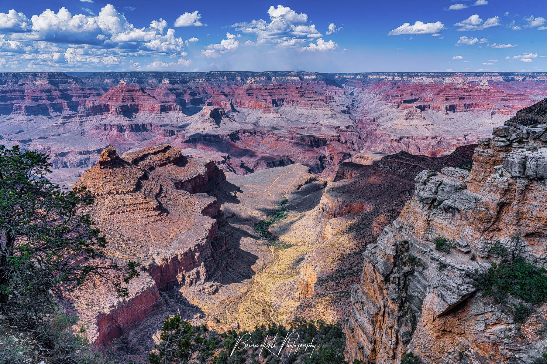 Grand Canyon landscape vista with layered red rock formations, steep cliffs, and deep valleys illuminated by warm sunlight; scattered clouds fill the sky, and sparse vegetation including twisted trees and bushes appears in the foreground.
