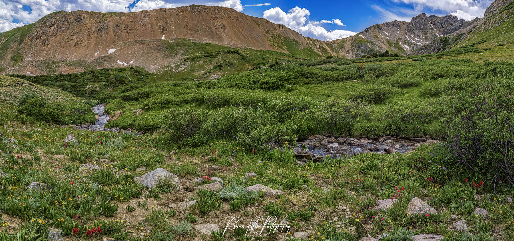 Alpine meadow with a rocky stream, green shrubs, and colorful wildflowers under a bright blue sky and rugged mountain backdrop.